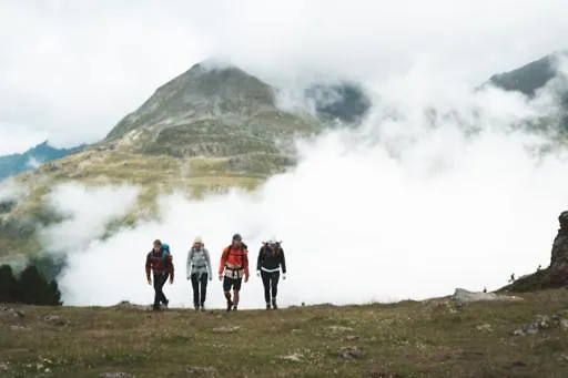 Vier & Restaurant 4*